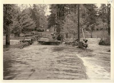 Photograph: Wilton Flood, 1955