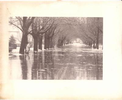 1979 Flood, Penfield Avenue