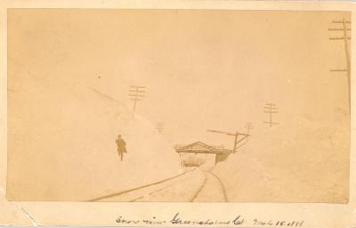 Blizzard 1888-Snowbank