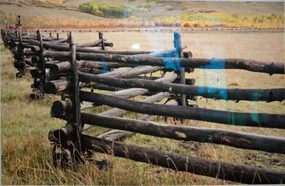 Zig Zag Fence, Telluride, Colorado