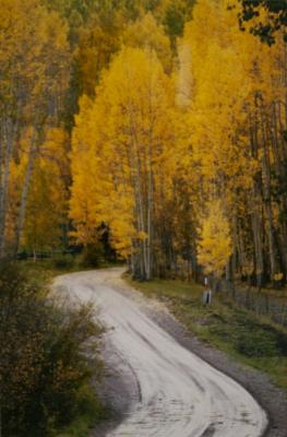 Aspen Road