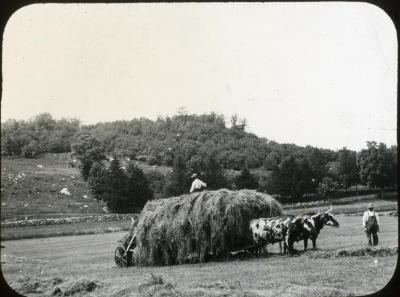 Haying Automatic Loader