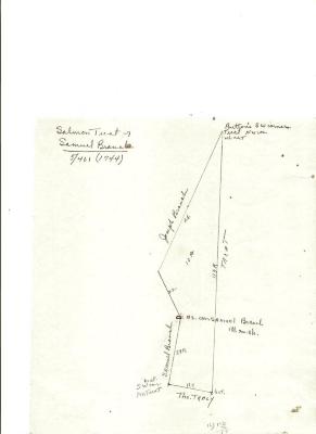 Salmon Treat Land Diagrams