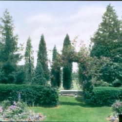 Botsford's Garden