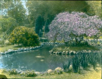 Burr Homestead Pond