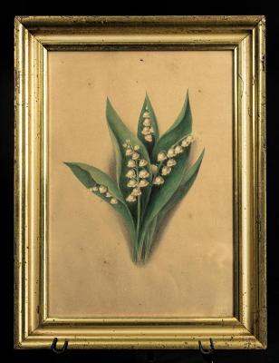 Lithograph - Lily of the Valley, Watercolor, Attributed to Clarissa Munger Badger